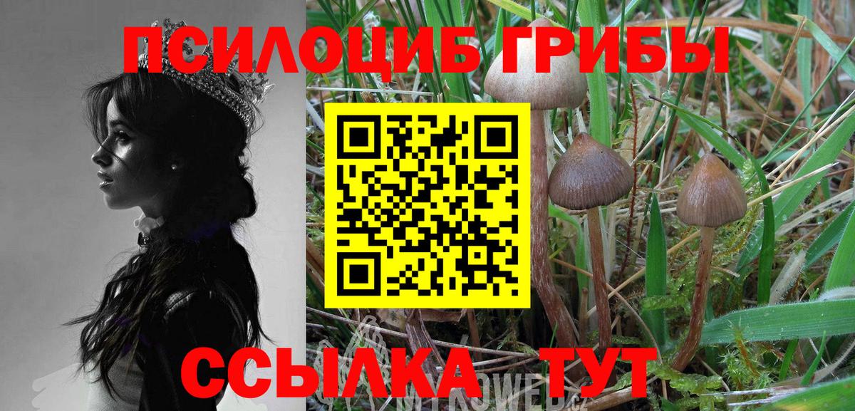 Галлюциногенные грибы Psilocybine cubensis  Вход с VPN  Псилоцибиновые грибы Magic Shrooms  Дубна 